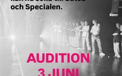 AUDITION